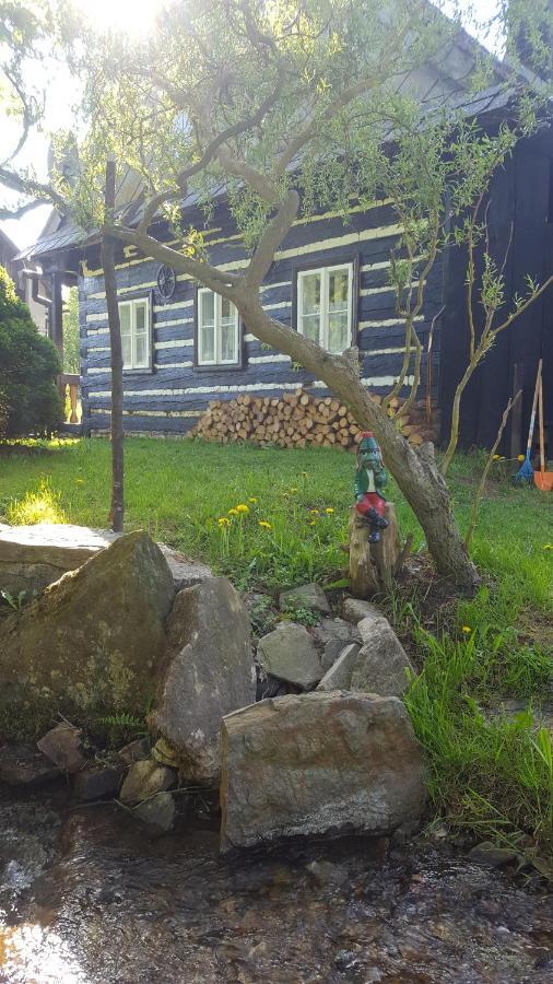 Roubenka U Potoka Vyprachtice Villa Ngoại thất bức ảnh